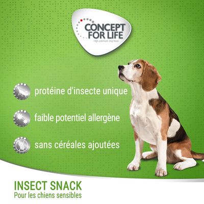 Concept for Life INSECT SNACK pour chiens sensibles, protéine d’insecte unique, faible potentiel allergène, sans céréales ajoutées. Chien assis sur fond vert.