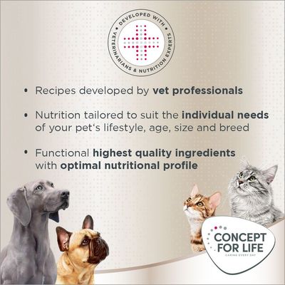 Concept for Life Maine Coon pro koťata – vylepšená receptura!