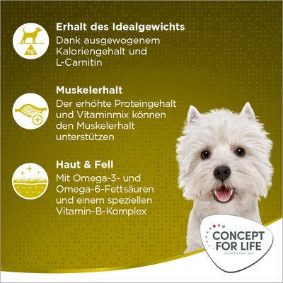 Texte en allemand : Erhalt des Idealgewichts, Muskelerhalt, Haut & Fell. Concept for Life. Chien blanc à droite. Informations sur le poids idéal, muscles, peau et pelage.