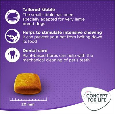 Concept for Life X-Large Adult - 2 x 12 кг