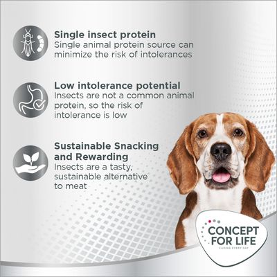 Single insect protein, low intolerance potential, sustainable snacking and rewarding. Concept for Life caring every day. Insects as alternative protein source for dogs.