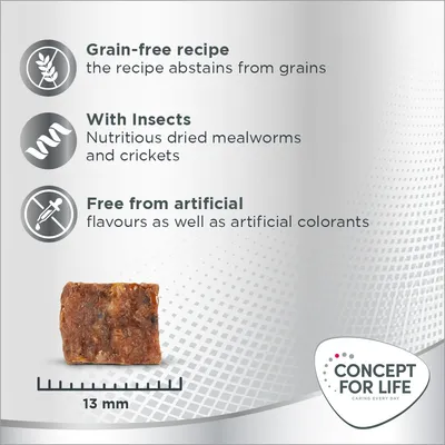 Concept for Life Insect Snack s batátmi - výhodné balenie: 3 x 100 g