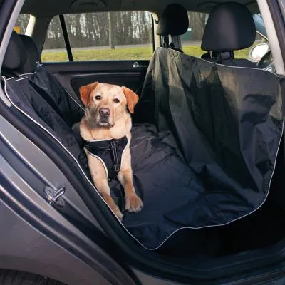 Koira istuu auton takapenkillä mustan suojapeitteen päällä, peite suojaa penkkejä ja selkänojaa. Koira käyttää valjaita. Materiaali näyttää muovilta tai kankaalta.