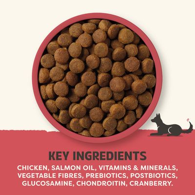 Hovedingredienser: Kylling, lakseolie, vitaminer og mineraler, vegetabilske fibre, præbiotika, postbiotika, glukosamin, chondroitin, tranebær.