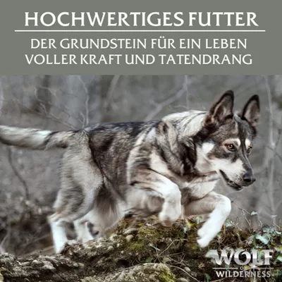 Texte en allemand : HOCHWERTIGES FUTTER DER GRUNDSTEIN FÜR EIN LEBEN VOLLER KRAFT UND TATENDRANG. Marque visible : Wolf of Wilderness.
