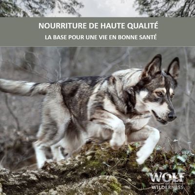 NOURRITURE DE HAUTE QUALITÉ. LA BASE POUR UNE VIE EN BONNE SANTÉ. Wolf of Wilderness