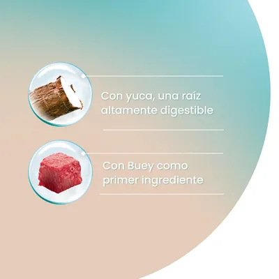 Con yuca, una raíz altamente digestible. Con Buey como primer ingrediente.