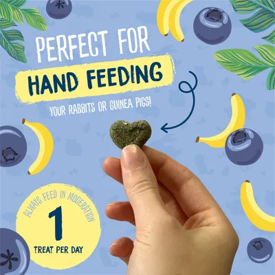 Hand holding a heart-shaped treat with text: Perfect for hand feeding your rabbits or guinea pigs. Always feed in moderation, 1 treat per day.