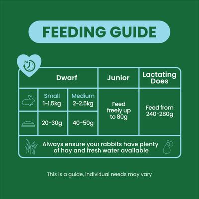 Feeding table: Dwarf rabbit small 1–1.5 kg, 20–30 g; medium 2–2.5 kg, 40–50 g; junior up to 80 g; lactating does 240–280 g. Always provide hay and fresh water.