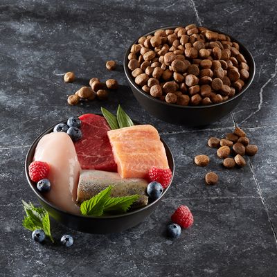 Miska z suchą karmą oraz miska ze świeżym mięsem kurczaka, wołowiny, łososia, ryby, malinami i jagodami. Widoczne składniki mogą sugerować zawartość karmy.