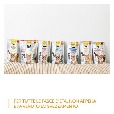 GimCat Snack: insetto zucca, mix, tacchino mirtilli rossi, salmone spinaci, pollo formaggio, tonno zucchine, manzo erba gatta. Diverse varietà in confezioni singole.