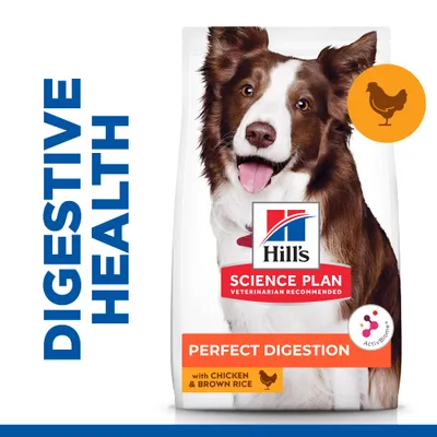 Συσκευασία Hill's Science Plan Perfect Digestion με κοτόπουλο & καστανό ρύζι. Εμφανίζεται σκύλος και το κείμενο DIGESTIVE HEALTH, PERFECT DIGESTION, with CHICKEN & BROWN RICE.