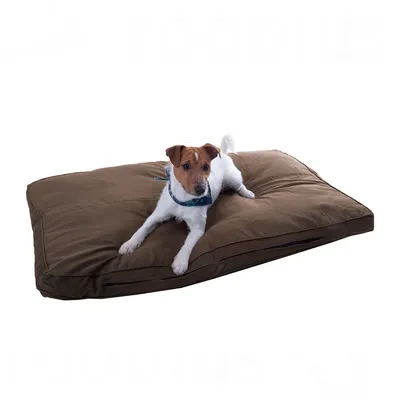Brown dog cushion with a small white dog on it wearing a blue collar. Brown dog cushion with a small white dog on it wearing a blue collar.
