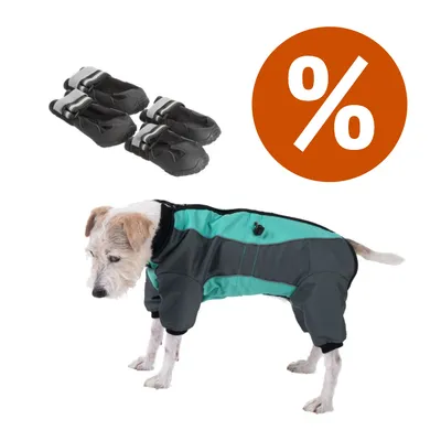 Cane con tuta protettiva grigia e verde acqua, quattro scarpe nere per cani e simbolo percentuale arancione che indica offerta o sconto.