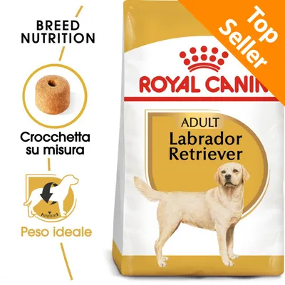 ROYAL CANIN ADULT Labrador Retriever, crocchetta su misura, peso ideale, Top Seller. Immagine di confezione con cane Labrador e dettagli sulle crocchette.