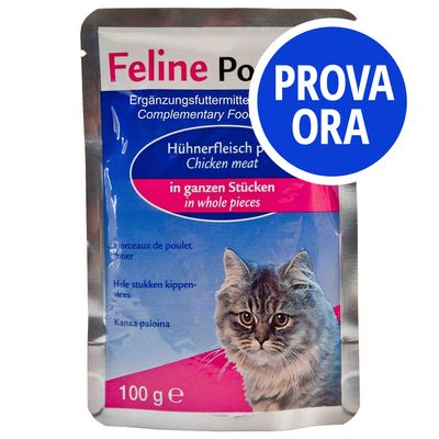 Provalo! Porta 21 MIX 24 x 100 g 4 varianti