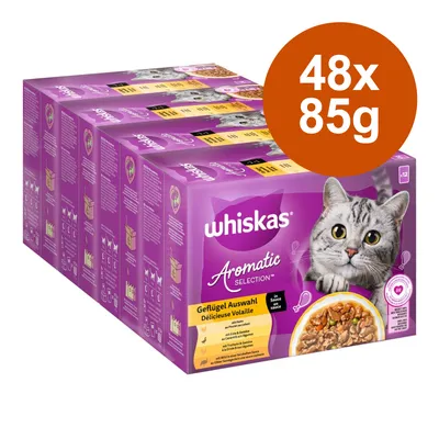 Whiskas Aromatic Selection selezione di pollame in salsa, 48x85g. Confezione con gatto e ciotola di cibo. Contiene pollo, anatra, tacchino e cuori di pollame.