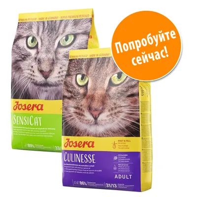 Два пакета корма для кошек Josera: Sensicat и Culinesse. На упаковке крупные изображения кошек, видны надписи бренда и названия продуктов. Оранжевый круг с текстом: Попробуйте сейчас!