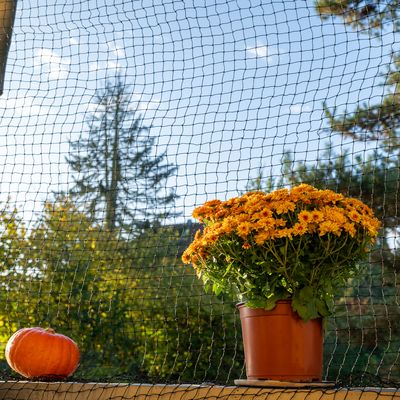Filet de protection noir installé en extérieur, avec une plante en pot et une citrouille posées devant, arbres visibles à l’arrière-plan.