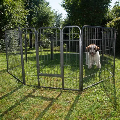 Kovový výbeh s mrežovanými stenami, vhodný do záhrady. Obsahuje dvere a zobrazuje psa vo vnútri výbehu.