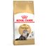 Royal Canin Persian Adult 4 kg
