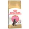 Royal Canin Maine Coon Kitten 4 kg