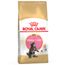 Royal Canin Maine Coon Kitten - Kattenvoer 4 kg
