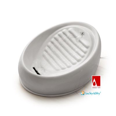 Fontana za pitje za mačke s brbotajočo vodo, poleg nje bež mačka, ki igrivo dviguje tačko.