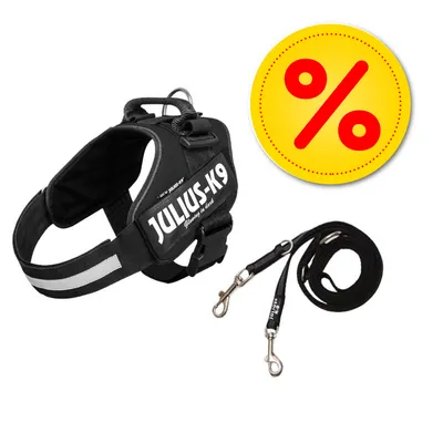 Harnais noir JULIUS-K9 avec laisse assortie, texte visible : 'JULIUS-K9', symbole de pourcentage rouge sur fond jaune indiquant une offre ou promotion.