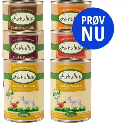 6 dåser Lukullus hundemad, varianter: Kaninchen & Wild, Putenherzen, Rind & Truthahn, Wildkaninchen & Truthahn, Geflügel & Lamm. Blå cirkel med teksten PRØV NU.