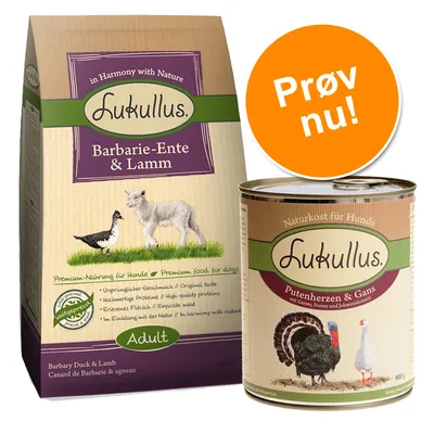 Lukullus Barbary-Ente & Lamm tørfoder og Lukullus Putenherzen & Gans vådfoder til hunde. Orange cirkel med teksten 'Prøv nu!'. Synlige dyr: and, lam, kalkun, gås.