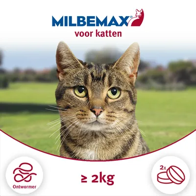 MILBEMAX voor katten, ontwormer, geschikt voor katten ≥2 kg, verpakking toont 2 tabletten.