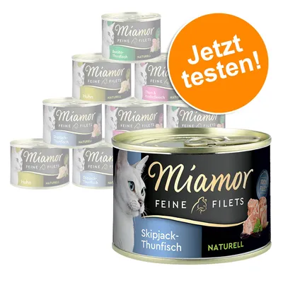 Miamor Feine Filets Skipjack-Thunfisch Naturell. Stapel von Dosen mit verschiedenen Sorten wie Huhn, Bonito-Thunfisch und Thun & Krebsfleisch. Orangefarbener Kreis: Jetzt testen!
