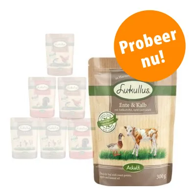 Lukullus Ente & Kalb Adult 300 g, zichtbare tekst: Probeer nu! Op de voorgrond eend en kalf op verpakking. Andere Lukullus-varianten vaag op achtergrond.