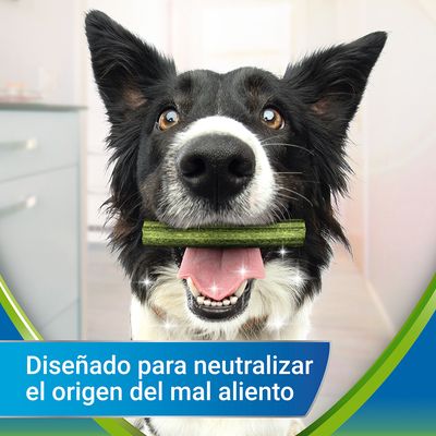 Perro con stick verde en la boca. Texto: Diseñado para neutralizar el origen del mal aliento.