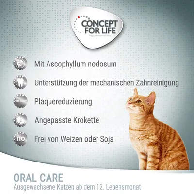 Concept for Life Oral Care aikuisille kissoille 12 kuukaudesta alkaen. Sisältää Ascophyllum nodosum, tukee mekaanista hampaiden puhdistusta, vähentää plakkia, mukautettu nappula, ei vehnää tai soijaa.