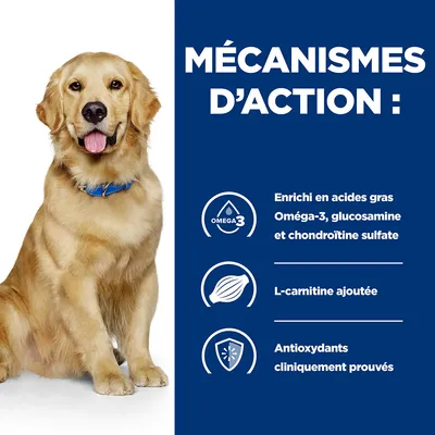 MÉCANISMES D’ACTION : Enrichi en acides gras Oméga-3, glucosamine et chondroïtine sulfate, L-carnitine ajoutée, Antioxydants cliniquement prouvés
