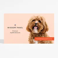 Wisdom Panel™ Premium Dog DNA Test - 1 Test