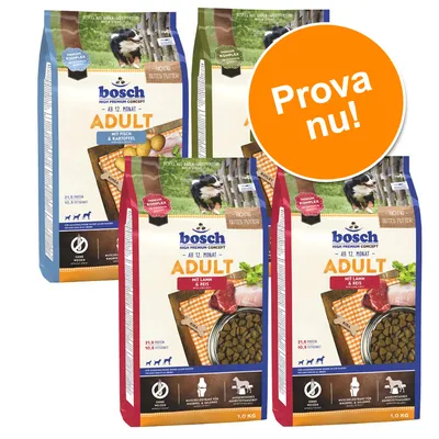 Fyra påsar Bosch High Premium Concept Adult hundfoder, synliga sorter: mit Lamm & Reis och mit Fisch & Kartoffel. Stor orange cirkel med texten 'Prova nu!'.