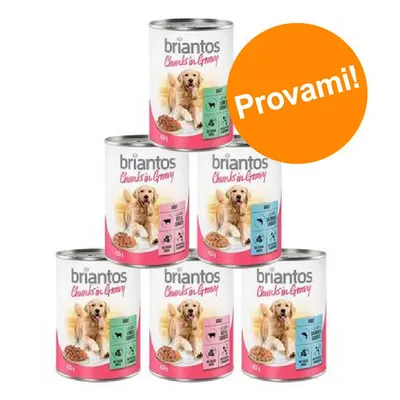 6 lattine di cibo per cani briantos Chunks in Gravy, etichette colorate con icone animali e ingredienti, scritta arancione 'Provami!' in evidenza