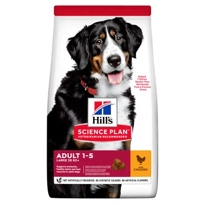 Sac Hill's Science Plan Adult 1–5 Large 25 kg+ au poulet, image d’un grand chien noir et blanc, mentions en anglais sur l’immunité, les articulations et la masse musculaire.