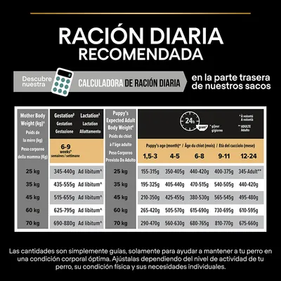 Tabla de ración diaria recomendada para perros según peso corporal y edad, con cantidades en gramos por día. Incluye guía para gestación, lactancia y cachorros de 1,5 a 24 meses.