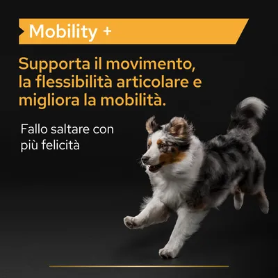 Testo: Mobility +. Supporta il movimento, la flessibilità articolare e migliora la mobilità. Fallo saltare con più felicità.