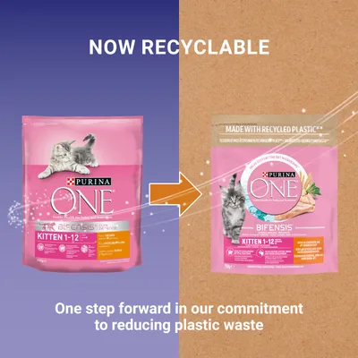 To poser PURINA ONE BIFENSIS Kitten 1–12, venstre uden genanvendt plast, højre med teksten 'MADE WITH RECYCLED PLASTIC'. Tekst: NOW RECYCLABLE. Begge poser har billede af killing.