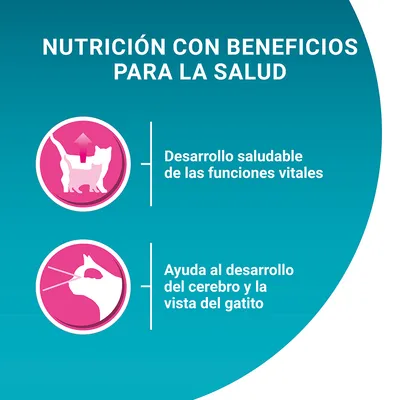 Nutrición con beneficios para la salud: desarrollo saludable de las funciones vitales y ayuda al desarrollo del cerebro y la vista del gatito.