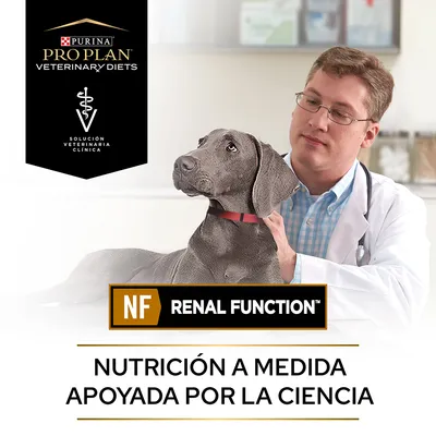 Purina Pro Plan Veterinary Diets, Solución Veterinaria Clínica. NF Renal Function. Nutrición a medida apoyada por la ciencia. Perro junto a persona con bata blanca.