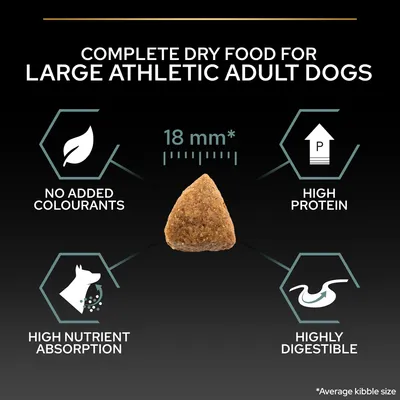 PURINA PRO PLAN Large Adult Athletic Sensitive Digestion lammas ja riisi - 16 kg