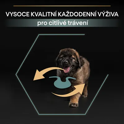VYSOCE KVALITNÍ KAŽDODENNÍ VÝŽIVA pro citlivé trávení, štěně psa a grafika žaludku se šipkami