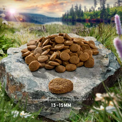 Hrană pentru câini în formă rotundă, dimensiune 13-15 mm, prezentată pe o piatră. Fundalul arată natură cu lac și pădure.
