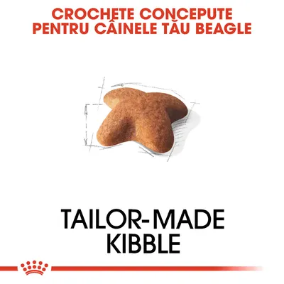 Text: Crochete concepute pentru câinele tău Beagle. Tailor-made kibble. Imagine cu o croșetă de hrană uscată pentru câini, formă specială. Text în engleză și română.